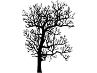 Sticker Custom Preview Image #132922 Trees Leaves Trees Tree014