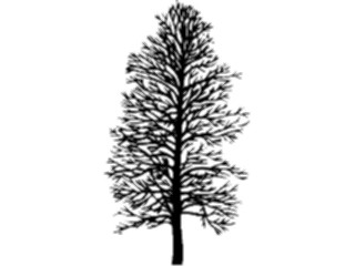 Sticker Custom Preview Image #132923 Trees Leaves Trees Tree015