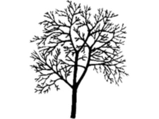 Sticker Custom Preview Image #132925 Trees Leaves Trees Tree017