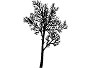 Sticker Custom Preview Image #132926 Trees Leaves Trees Tree018