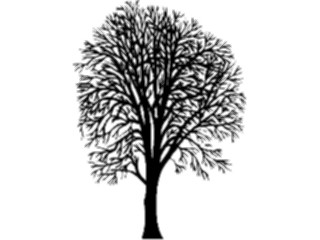 Sticker Custom Preview Image #132927 Trees Leaves Trees Tree019