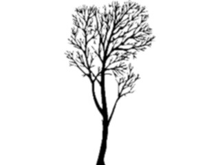 Sticker Custom Preview Image #132928 Trees Leaves Trees Tree020