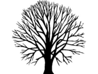 Sticker Custom Preview Image #132930 Trees Leaves Trees Tree022