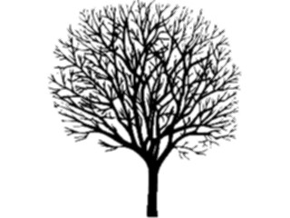 Sticker Custom Preview Image #132931 Trees Leaves Trees Tree023