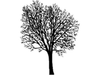 Sticker Custom Preview Image #132932 Trees Leaves Trees Tree024