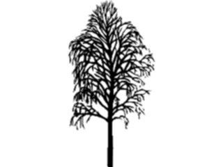 Sticker Custom Preview Image #132933 Trees Leaves Trees Tree025