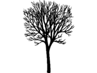 Sticker Custom Preview Image #132934 Trees Leaves Trees Tree026
