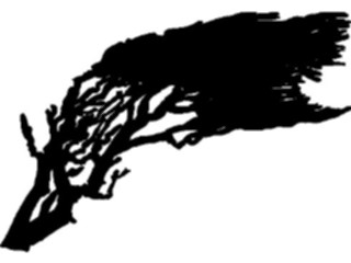 Sticker Custom Preview Image #132936 Trees Leaves Trees Tree028