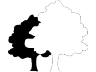 Sticker Custom Preview Image #132939 Trees Leaves Trees Tree031