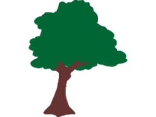 Sticker Custom Preview Image #132940 Trees Leaves Trees Tree032