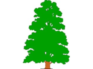 Sticker Custom Preview Image #132942 Trees Leaves Trees Tree034