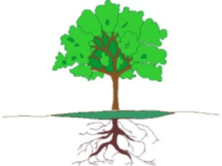 Sticker Custom Preview Image #132943 Trees Leaves Trees Tree035