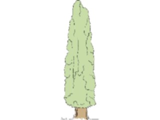 Sticker Custom Preview Image #132947 Trees Leaves Trees Tree039