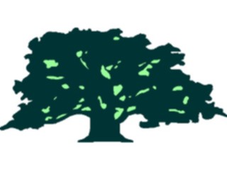 Sticker Custom Preview Image #132949 Trees Leaves Trees Tree041