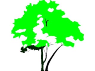 Sticker Custom Preview Image #132950 Trees Leaves Trees Tree042