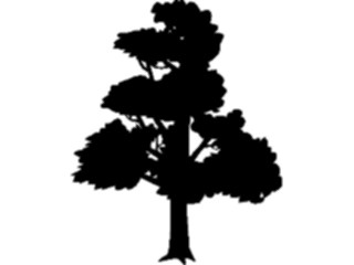 Sticker Custom Preview Image #132956 Trees Leaves Trees Tree048