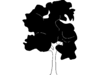 Sticker Custom Preview Image #132958 Trees Leaves Trees Tree050