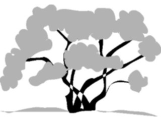 Sticker Custom Preview Image #132962 Trees Leaves Trees Tree054