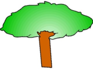 Sticker Custom Preview Image #132967 Trees Leaves Trees Tree059