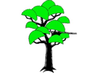 Sticker Custom Preview Image #132975 Trees Leaves Trees Tree067