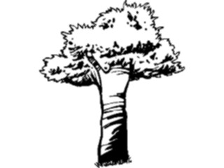 Sticker Custom Preview Image #132976 Trees Leaves Trees Tree068