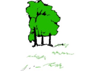 Sticker Custom Preview Image #132977 Trees Leaves Trees Tree069