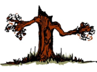 Sticker Custom Preview Image #132987 Trees Leaves Trees Tree079