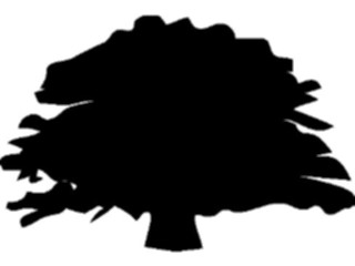 Sticker Custom Preview Image #132997 Trees Leaves Trees Tree089