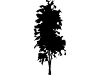 Sticker Custom Preview Image #132998 Trees Leaves Trees Tree090