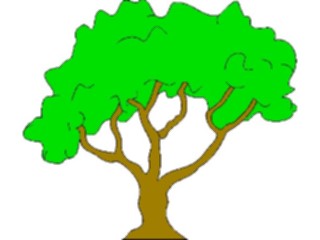 Sticker Custom Preview Image #133006 Trees Leaves Trees Tree098