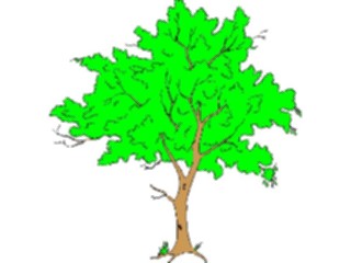 Sticker Custom Preview Image #133007 Trees Leaves Trees Tree099