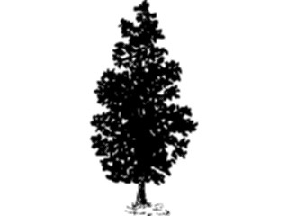 Sticker Custom Preview Image #133017 Trees Leaves Trees Tree109