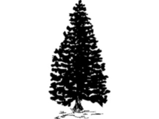 Sticker Custom Preview Image #133019 Trees Leaves Trees Tree111