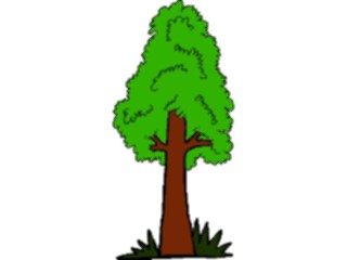 Sticker Custom Preview Image #133028 Trees Leaves Trees Tree120