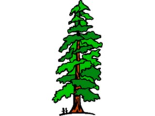 Sticker Custom Preview Image #133029 Trees Leaves Trees Tree121