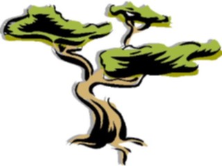 Sticker Custom Preview Image #133030 Trees Leaves Trees Tree122