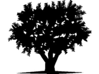 Sticker Custom Preview Image #133034 Trees Leaves Trees Tree126