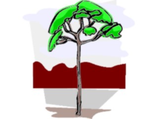 Sticker Custom Preview Image #133037 Trees Leaves Trees Tree129