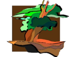 Sticker Custom Preview Image #133043 Trees Leaves Trees Tree135