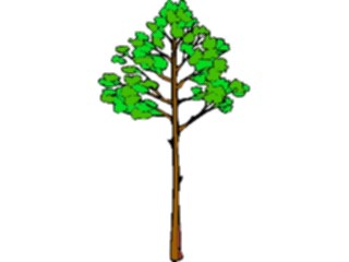 Sticker Custom Preview Image #133050 Trees Leaves Trees Tree142