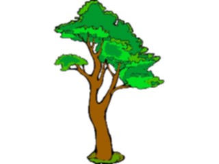 Sticker Custom Preview Image #133051 Trees Leaves Trees Tree143
