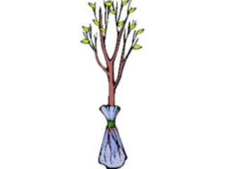 Sticker Custom Preview Image #133054 Trees Leaves Trees Tree146