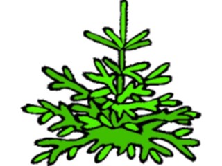 Sticker Custom Preview Image #133055 Trees Leaves Trees Tree147