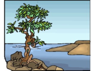 Sticker Custom Preview Image #133059 Trees Leaves Trees Tree151