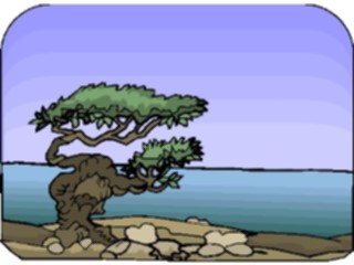 Sticker Custom Preview Image #133061 Trees Leaves Trees Tree153