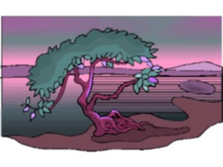 Sticker Custom Preview Image #133069 Trees Leaves Trees Tree161