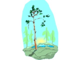 Sticker Custom Preview Image #133071 Trees Leaves Trees Tree163