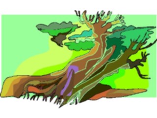 Sticker Custom Preview Image #133073 Trees Leaves Trees Tree165