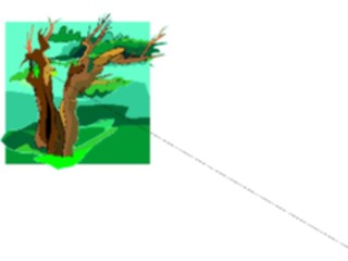 Sticker Custom Preview Image #133074 Trees Leaves Trees Tree166