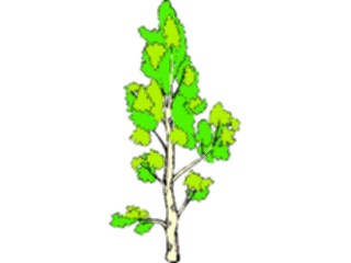 Sticker Custom Preview Image #133098 Trees Leaves Trees Tree190